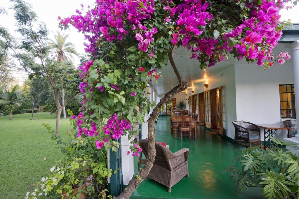 York Lodge Harare Dış mekan fotoğraf