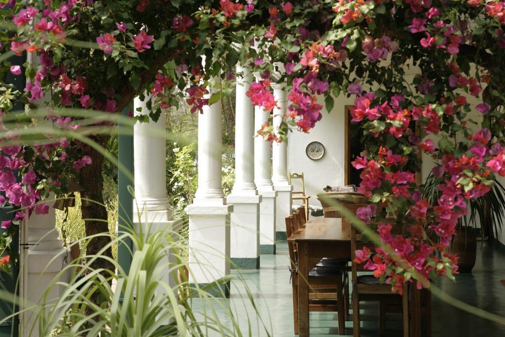York Lodge Harare Dış mekan fotoğraf