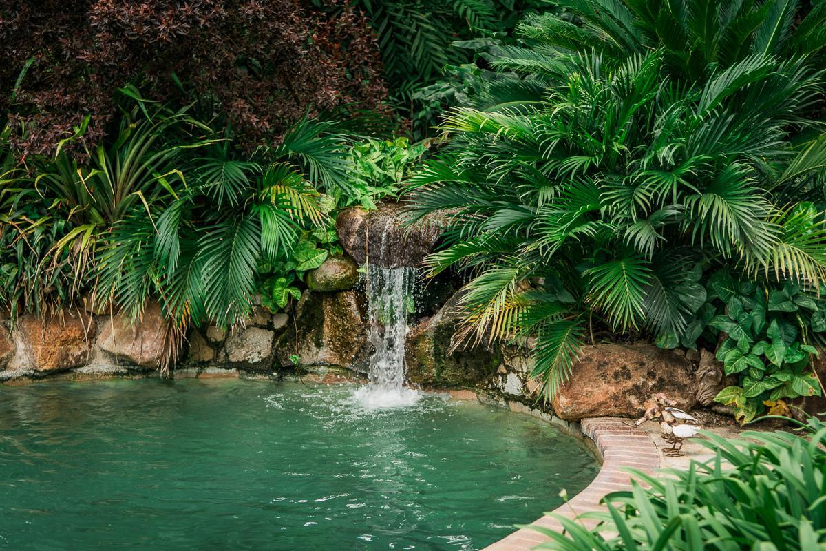 York Lodge Harare Dış mekan fotoğraf
